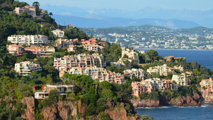 Lutte contre les nuisibles Cagnes-sur-Mer